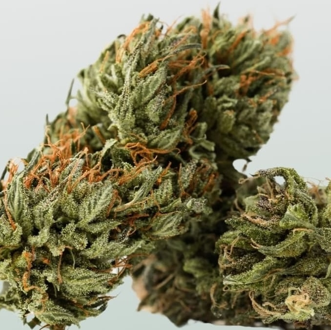 Meilleure magasin, boutique, shop de CBD à Ablon (14) 